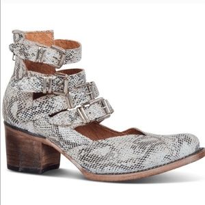 FREEBIRD STEVE MADDEN | "FELICITY" SNAKE BUCKLE BOOT